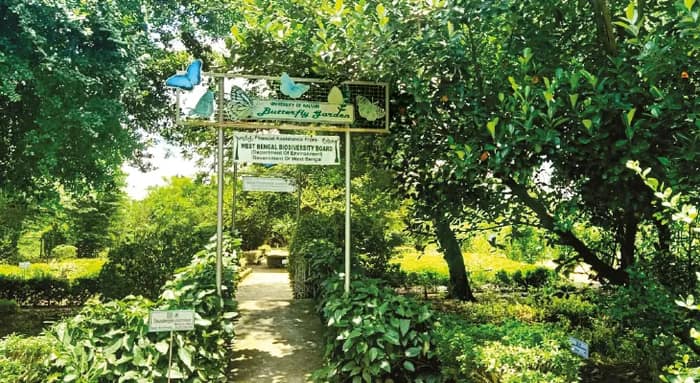 বায়োডাইভার্সিটি ক্যাম্পাস হতে চলেছে কল্যাণী বিশ্ববিদ্যালয়