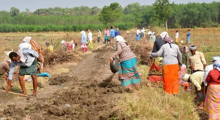 হাইকোর্টের নির্দেশ উড়িয়ে তালিকা থেকে নাম বাদ,  ১০০ দিনে বাংলা ব্রাত্যই!