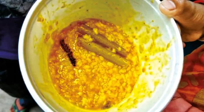 খিচুড়িতে শুঁয়োপোকা, বিক্ষোভ কলমপাড়া অঙ্গনওয়াড়িতে! মালদহে থাকেন কর্মী, মানা হয় না মেনুর নিয়ম
