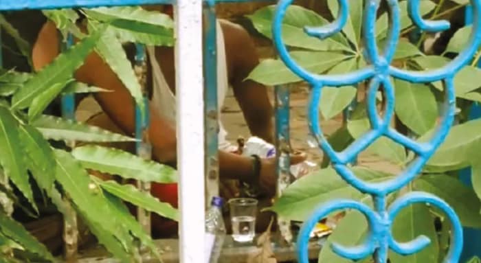 পার্কস্ট্রিটের ফুটপাতেই মদ্যপান নজরদারি নেই পুলিসের, অভিযোগ