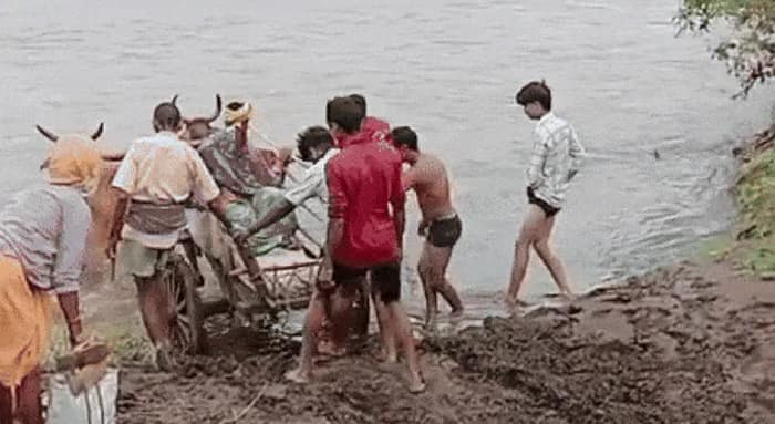 গোরুর গাড়িতে নদী পার, প্রসূতিকে হাসপাতালে নিয়ে যেতে তীব্র দুর্ভোগ
