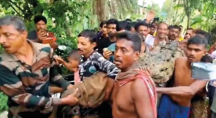 গৃহস্থের পুকুরে কুমির, নাইলনের জাল ফেলে উদ্ধার