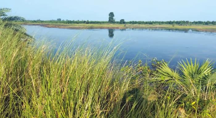ঝাড়গ্রামে ‘পহেলগাঁও’