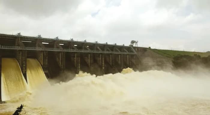 ডিভিসির জলে ১৬ হাজার ৪৯৯ হেক্টর জমির ধান নষ্ট