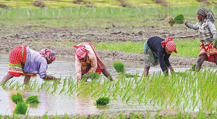 কৃষক বন্ধু প্রকল্পে জেলায় দেওয়া হলো ১৬৩ কোটি, ৬ লক্ষ ৪১ হাজার চাষি পেয়েছেন টাকা