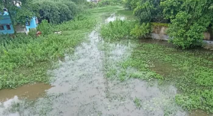 ঝাড়গ্রামের মানিকপাড়ায় নালার জমা জলে দুর্ভোগ, চুপ প্রশাসন