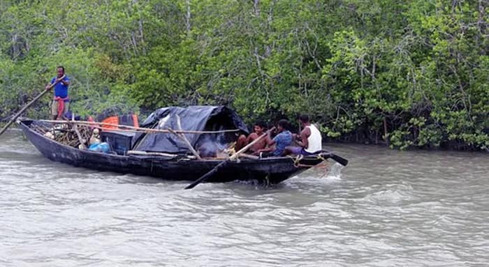 বোট লাইসেন্স সার্টিফিকেট, নির্দেশিকা জারি সুন্দরবনে