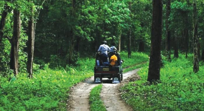ডুয়ার্সে গাড়ির সিন্ডিকেটরাজের ‘শিকার’ কলকাতার পর্যটক দল