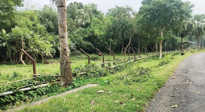 মোদি সরকারের নয়া অভিবাসন নির্দেশিকায় ডিটেনশন-আতঙ্ক সীমান্তবর্তী গ্রামগুলিতে