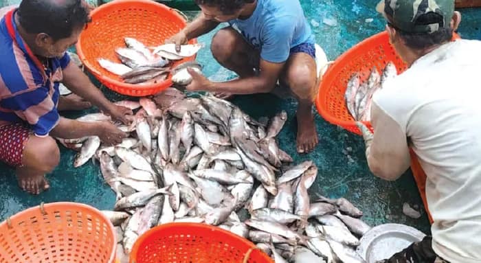 উত্তাল সমুদ্র, মৎস্যজীবীদের ভরসা দিচ্ছে মোহনা, খাঁড়িই
