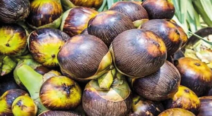 তালের খাবারে বিকল্প রোজগারের পথ দেখাচ্ছেন জামবনীর মহিলারা
