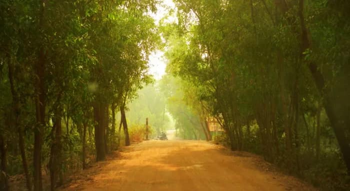 গেস্ট হাউস