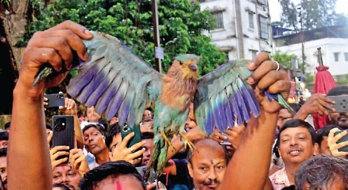 ইছামতীর দু’পাড়ে দুই বাংলার জনতা, টাকি যেন মিলনমেলা