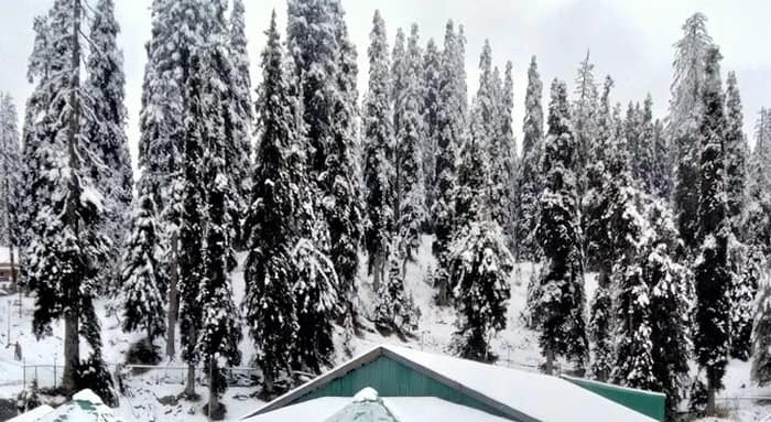 মরশুমের প্রথম তুষারপাত গুলমার্গে, পর্যটক বৃদ্ধির আশায় কাশ্মীরবাসী