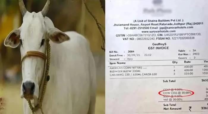 জয়পুরে পানশালায় ২০ শতাংশ ‘কাউ সেস’, বিতর্ক
