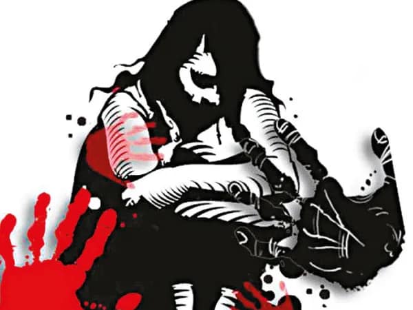 বিমানকর্মীকে ধর্ষণে অভিযুক্ত পাইলট