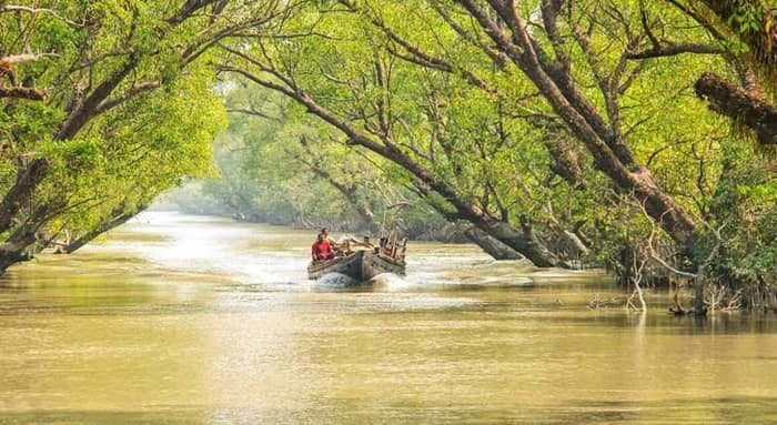গোয়া-থাইল্যান্ডের ওয়াটার স্পোর্টস সুন্দরবনে? বিশ্ব ব্যাংকের সাহায্যে উন্নয়নের রূপরেখা, বৈঠকে ১২ দপ্তর