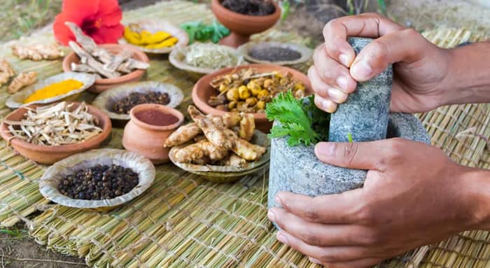 সিজন চেঞ্জে জ্বর সর্দি শ্বাসের অসুখ, আয়ুর্বেদে সমাধান কী?