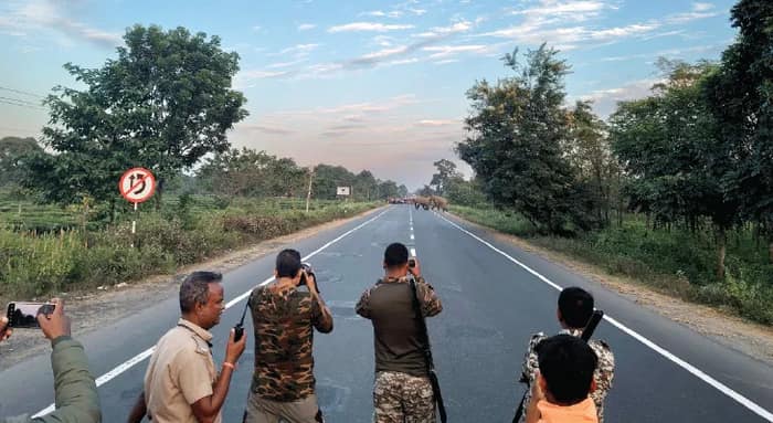 ৬০টি হাতির দলকে ছোট জঙ্গল থেকে নিয়ে যাওয়া হল বড় জঙ্গলে