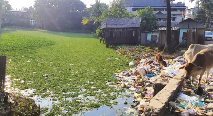 ঝিলে ভাসছে প্লাস্টিক, থার্মোকলের থালা-বাটি, কমছে শীতের অতিথি