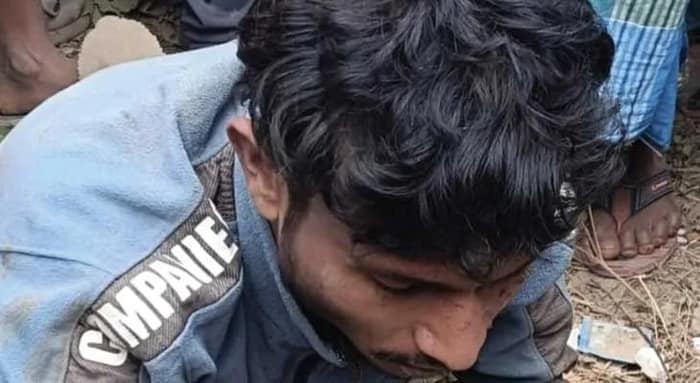 মালদহের হবিবপুর সীমান্তে গরু পাচারের ছক বানচাল করলো বিএসএফ, গ্রেফতার ১