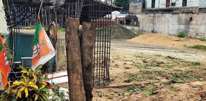 বনগাঁয় সরকারি জমিতে থাকা নিম  ও মেহগনি গাছ কাটা হল নির্বিচারে