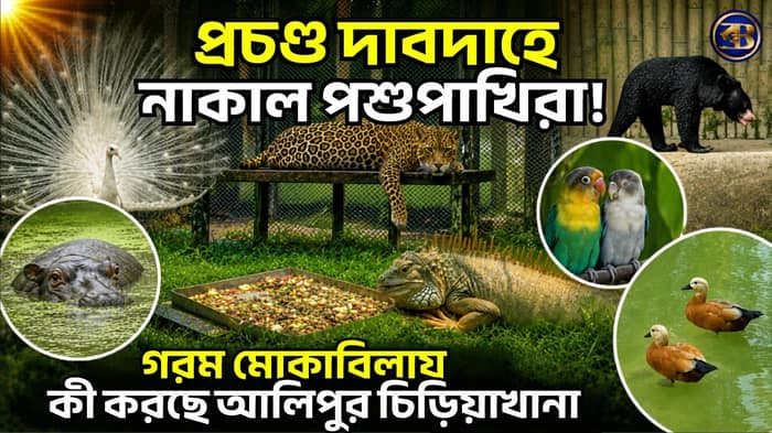 AliporeZoo গরমে নাকাল বাঘ-হাতি-পাখিরা! কী করছে চিড়িয়াখানা কর্তৃপক্ষ? Heatwave in Kolkata