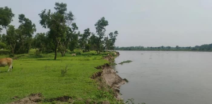 আত্রেয়ী নদীর ভাঙনে নিশ্চিহ্ন হওয়ার পথে ডাঙ্গি ফরেস্ট
