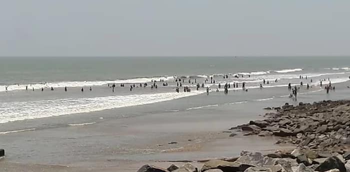 দিঘায় চালু হল ডাইনোসর পার্ক!
