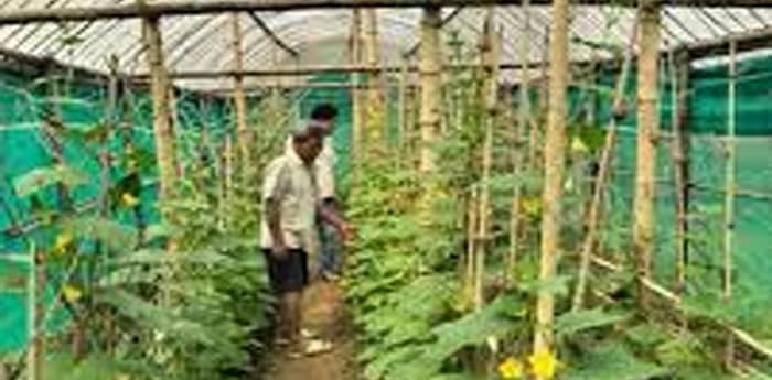 দুই জেলায় কৃষি কর্মশালা