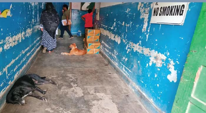 কুকুর-বিড়ালের অবাধ বিচরণ  বারাসত মেডিকেলে, অসন্তোষ