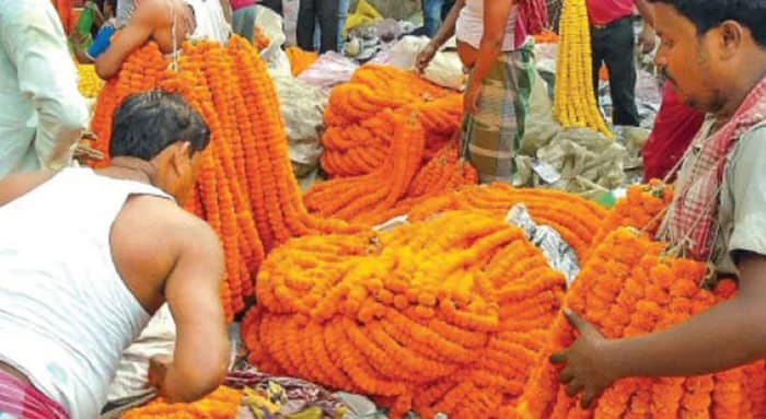 প্রবল ঠান্ডায় জোগান কম, দামও চড়া, বাগদেবীর আরাধনায় ফুল বাজার নিয়ে চিন্তায় বাঙালি
