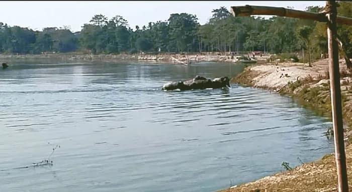 মাথাভাঙায় ১৭টি হাতির পাল, রাতভর অভিযান সকাল ৬টায় দক্ষিণ খয়েরবাড়ি জঙ্গলে ফেরাল বনদপ্তর