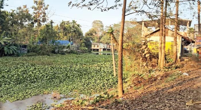 জবরদখল ও দূষণের জেরে দুরামারি নদীর অস্তিত্ব সংকটে