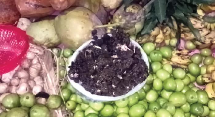 ফুলের দামে আগুন! কুঁড়ি দিয়েই পলাশপ্রিয়ার বন্দনা