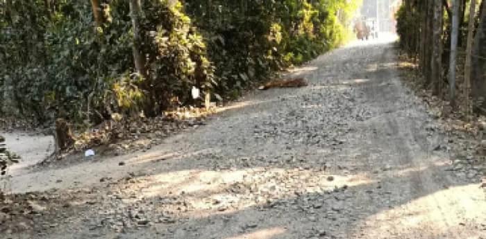 দেগঙ্গায় হাসপাতালে যাওয়ার  রাস্তা বেহাল, সারাইয়ের দাবি