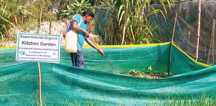 সেন্ট জেভিয়ার্স কলেজের সহায়তায় ফের ঘোড়ামারা দ্বীপে শুরু কৃষিকাজ