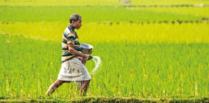 এবার কৃষিকাজে যুক্ত ভূমিহীন চাষিদেরও আর্থিক অনুদান