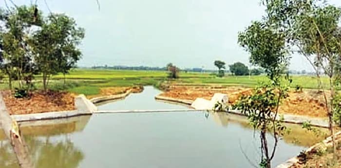 ঝাড়গ্রামে ৬১টি চেক ড্যাম সম্পূর্ণ, রুক্ষ জমিতে মিলছে সেচের জল