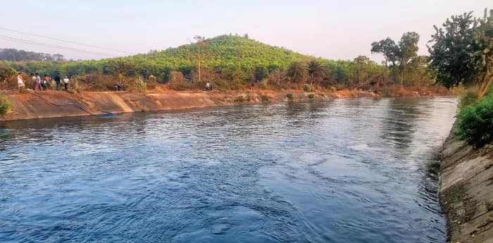 পর্যাপ্ত জলের অভাব মুকুটমণিপুর ড্যামে, বোরো চাষ নিয়ে দুশ্চিন্তায় চাষিরা