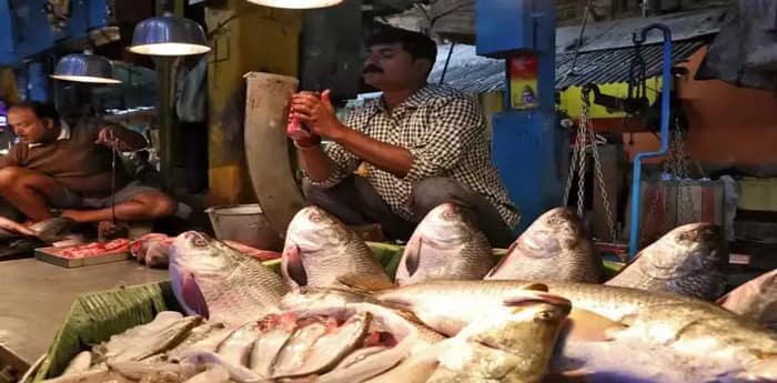 প্রকাশ্যে মাছ ও মাংস বিক্রি নয়, বিহারে জারি নিষেধাজ্ঞা, বাংলার ইস্তাহারে লিখুন, বিজেপিকে চ্যালেঞ্জ মহুয়ার