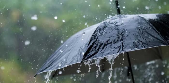 আগামী কয়েক ঘণ্টার মধ্যে পূর্ব বর্ধমান জেলায় ঝড়-বৃষ্টির পূর্বাভাস
