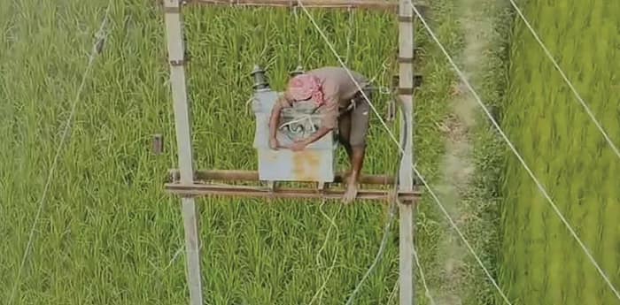 ড্রোন উড়তেই খোলা হল হুকিং, কাটোয়ায় ধরা পড়ল বিদ্যুৎ চুরি, ৩টি মামলা দায়ের