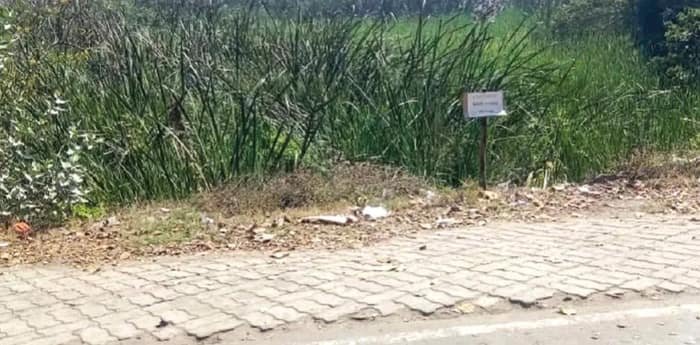 বুড়ুল থেকে কলকাতাগামী বাসের  সংখ্যা বাড়ানোর দাবি নিত্যযাত্রীদের