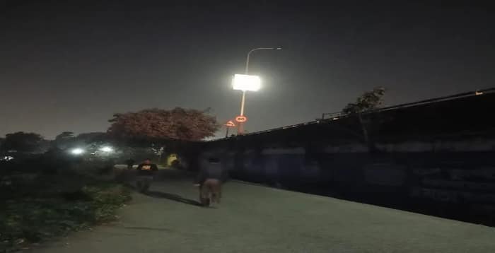 সন্ধ্যা হলেই অন্ধকারে ঢাকছে বেলঘরিয়া এক্সপ্রেসওয়ে, বরানগরে তীব্র সমস্যায় পথচারীরা