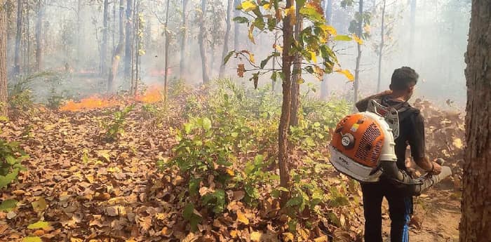 ঝাড়গ্রামে জঙ্গলে আগুন! ঝলসে বৃদ্ধার মৃত্যু, আতঙ্ক