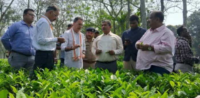 চা শিল্পের জন্য বাজেটে ঘোষণা নেই, ড্যামেজ কন্ট্রোলে নির্বাচনের মুখে বাগানে কেন্দ্রীয় মন্ত্রী