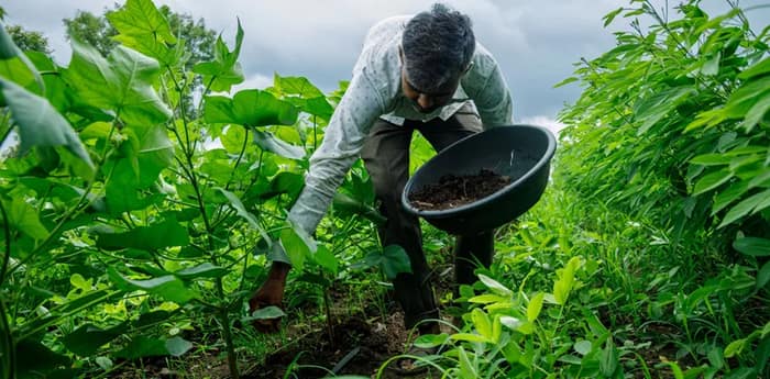 প্রাকৃতিক চাষের পাঠ পড়াতে প্রসঙ্গ ছাড়াই  ‘প্রভু রামে’র নাম ব্যবহার নীতি আয়োগের, মোদি সরকারের গাইডবুক নিয়ে বিতর্ক
