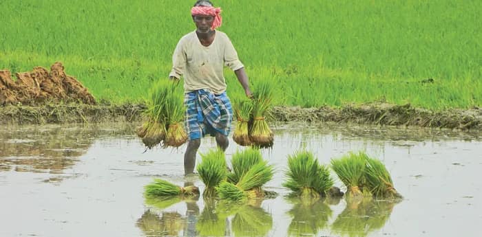 কৃষকদের ভারতীয় পণ্য ব্যবহারে গুরুত্ব দেওয়া হচ্ছে : প্রধানমন্ত্রী নরেন্দ্র মোদি