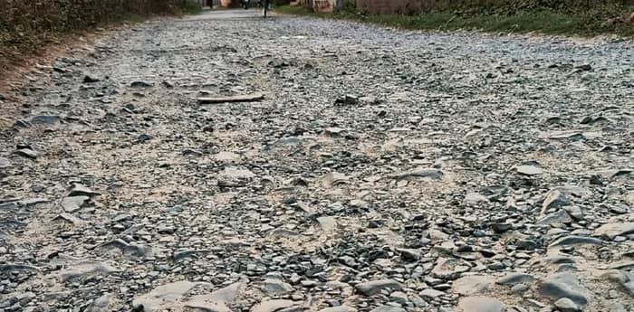 পাণ্ডুয়ায় শুরুই হয়নি দুই গুরুত্বপূর্ণ রাস্তার সংস্কার